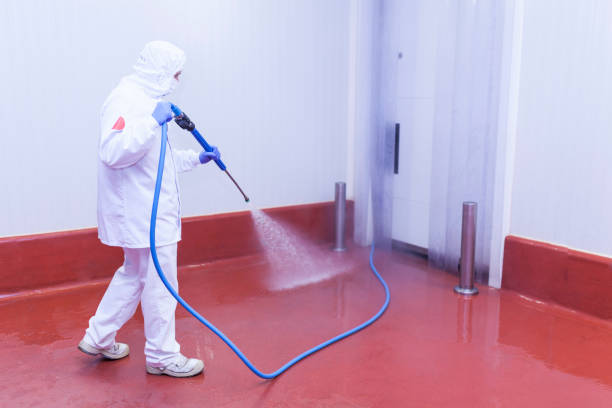 Best Spring Cleaning  in Nocona, TX